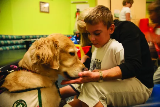 Terápiás kutya egy kisfiúval