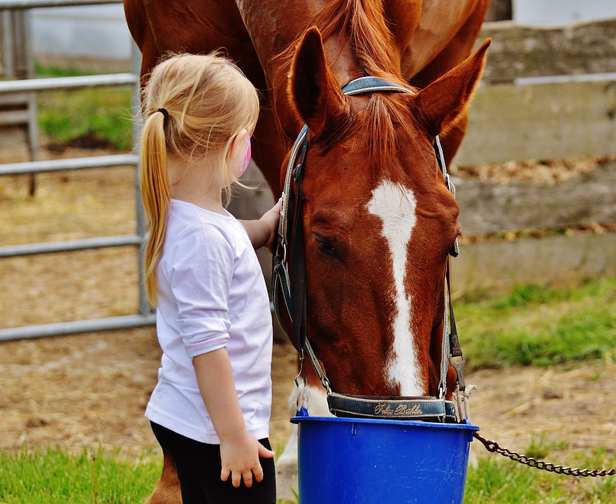 ló és kislány